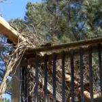 Image of deck railing damaged by a fallen tree